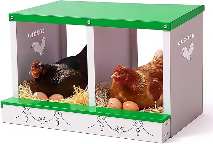 2 Hole Chicken Nesting Box for Laying Hens - Automatic Rollout Egg Collection, Heavy Duty Metal Nesting Boxes with Swing Perch for Chicken Coops, Secure & Easy Clean Poultry Nest Box