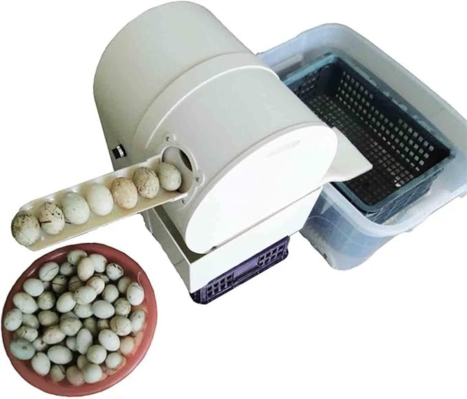 Electric Egg Washing Machine, Egg Washer Machine, Automatic Egg Washer Machine, 2300 Pcs/H Chicken Duck Goose Egg Egg Cleaner Wash Machine (Color : 110V)