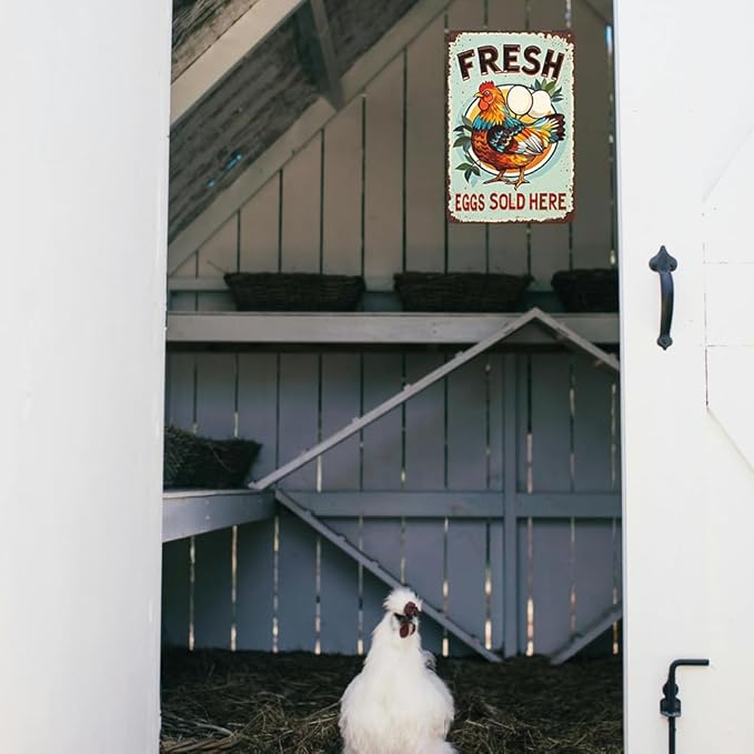 Chicken Coop Metal Sign Funny Farmers Market Decor Fresh Eggs For Sale Farm Sign Farm Fresh Eggs Chicken Coop Sign For Chicken Lovers Chicken House Decorations