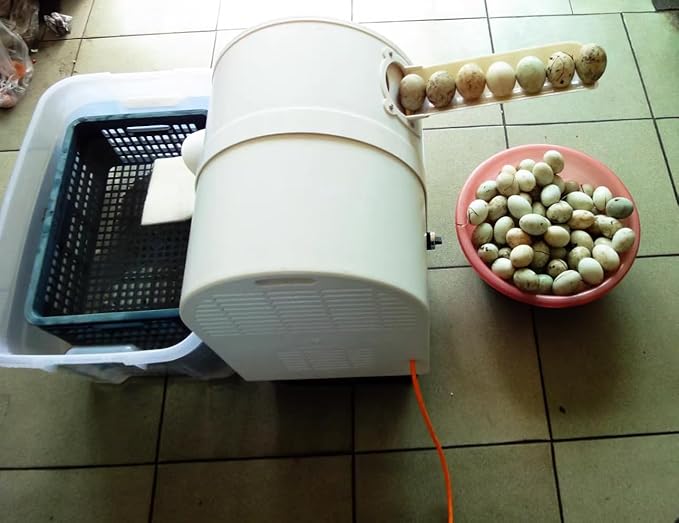 Automatic Electric Egg Washing Machine – 2300 Pcs/H Egg Washer with Roller Brush, Suitable for Chicken, Duck, and Goose Eggs (220V)
