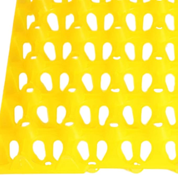 Farm Egg Container Long Distance Transport Breathable Egg Holder, Yellow