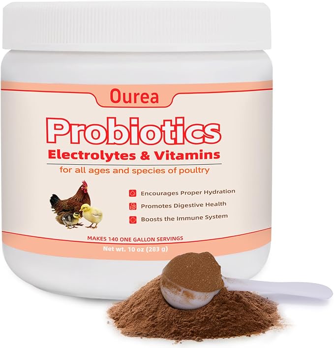 Chicken Electrolyte, Vitamin & Probiotic Supplement - Support Hydration Digestion Immunity Egg Production – Poultry Supplement for Chickens, Ducks, and All Ages of Birds – All-Season Use,10oz Powder