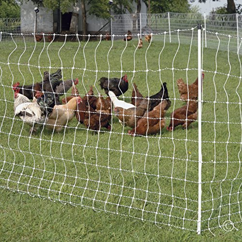 Premier 1 PoultryNet® 42"H x 164'L Portable Electric Fence with Built-in Posts | White/Black Fence for Chickens, Ducks, Geese
