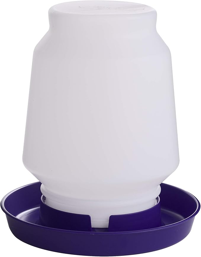 Little Giant® Complete Plastic Poultry Fount | 1 Gallon | Heavy Duty Plastic Gravity Fed Water Container Jar | Waterer for Chickens, Turkeys, Ducks & More | Made in USA | Purple