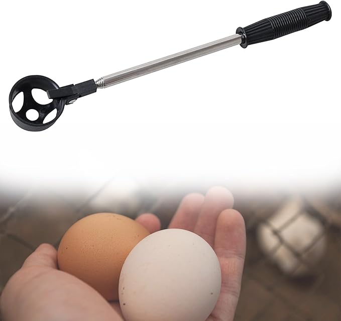 Egg Grabber - Egg Picker - Extendable Stainless Long Grabber Reacher Tool for Egg / Nut ,Outdoor Egg Extender Grabber Tools,Multifunctional Egg Collector for Coop, Poultry Nest, and Farm Use (Black)