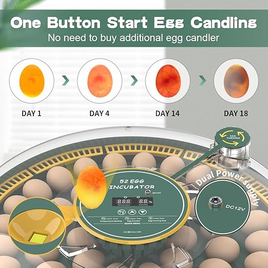 52 Egg Incubator with Automatic Egg Turning and Humidity Display, Incubators for Hatching Eggs, Chicken, Ducks, Goose, Pigeon, Quail, Parrot Incubator for Farm, Lab