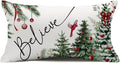 Christmas Pillow Cover 12X20 Inch Red Baubles Believe Christmas Tree Forest Bird Decoration Holiday Farmhouse Winter Pillow Case for Sofa Couch Decor