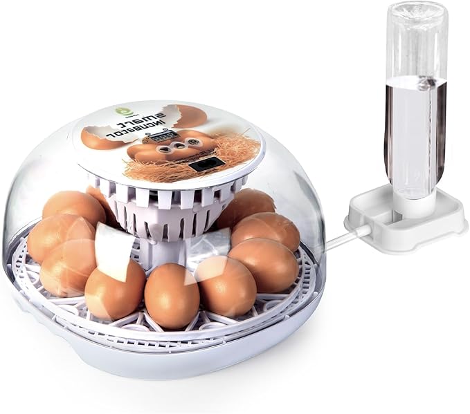 1st Nest - 12 Egg Incubator for Beginners, Auto Egg Turning, Consistent Humidity with Auto-Refill Water Bottle & Stable Temp Control for Hatching Chicken, Goose, Duck, Quail, Pigeon, and Turkey