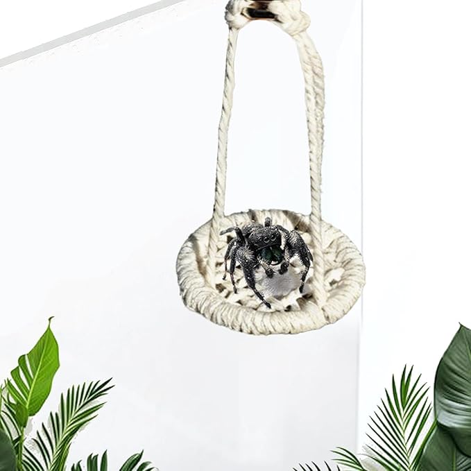 Jumping Spider Decor - 2 Pieces Natural Cotton Rope Handmade Pets Supplies, Jumping Spider Accessories for Walking Camping Travel Daily Airplane Outing Shopping, Urban Courtyard Farm, Interactive Pet