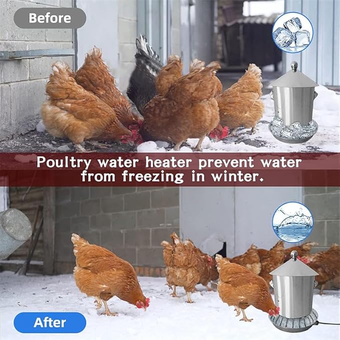 Chicken Water Heater 13'' Chicken Drinker Heated Base for Metal Poultry Founts Poultry Water Heater Base for Chicken Turkey Goose Duck Pigeon Drinker in Winter