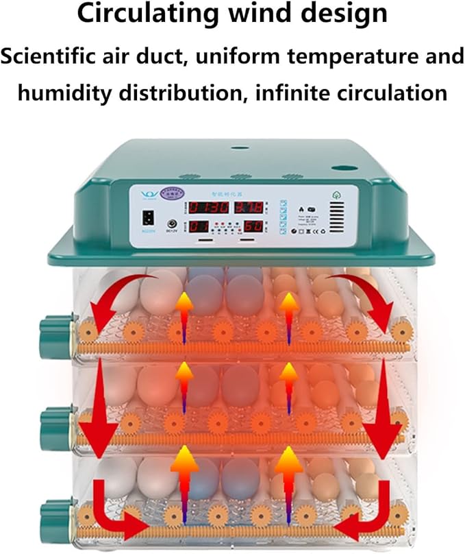 Egg Incubator, 12 Egg Incubator Digital with Temperature Control and Automatic Turning Chicken Poultry for Duck Goose Quail