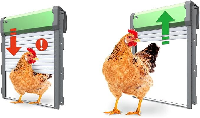 Pilipane Solar Powered Automatic Chicken Coop Door Opener IP67 Timer Light Sensor Remote Control Manual for Ducks Geese Chickens Poultry Aluminum PP Material 37x30cm