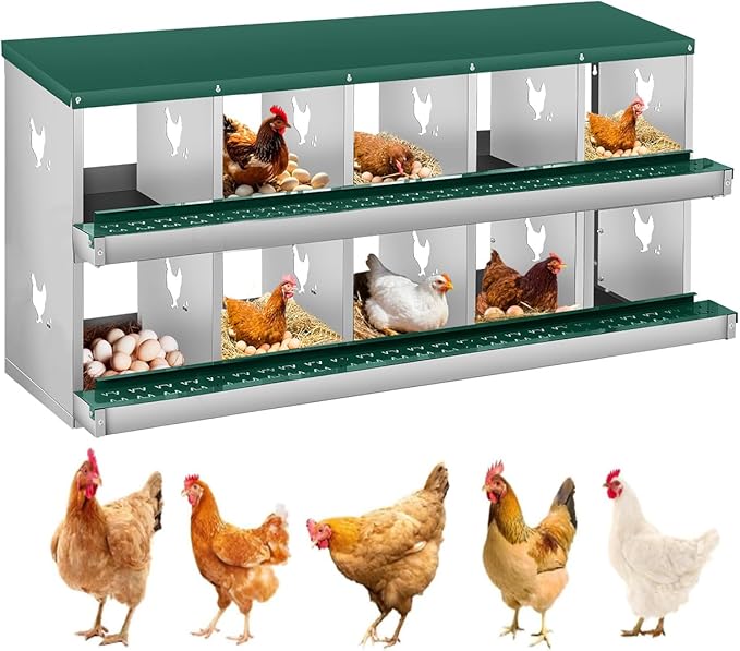 Chicken Nesting Box,10 Compartments Nesting Box for Chickens, Two-Tier Galvanized Metal Wall Mount Chicken Egg Laying Box with Large Vented Holes for Easy Egg Collection ﻿