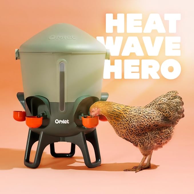 Omlet Insulated Chicken Waterer, 3 Gallon | Stay-Clean Automatic Water Dispenser for Chickens | BPA-Free | Anti-Roost Domed Lid | Includes 5 Cups & Nipples | Eglu Green