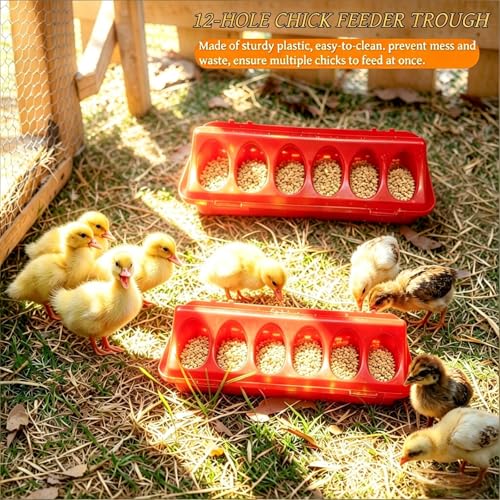 Chick Starter Kit with 75w Heat Lamp, 5-in-1 Baby Chicken Brooder Supplies - red, white, black, Metal & Plastic - Image 6