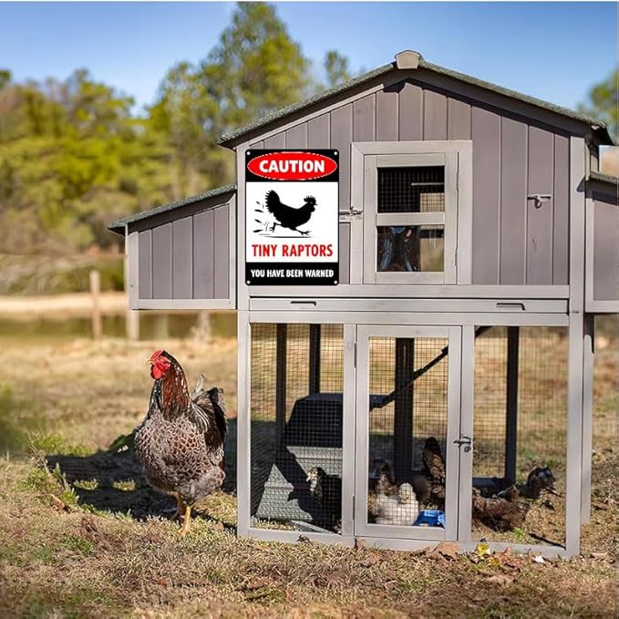 Caution Tiny Raptors Sign Aluminum Chicken Coop Signs for Farm Kitchen Rooster Hen House Decor Beware of Chicken Signs for Chicken Lady Lovers, 12x16inches