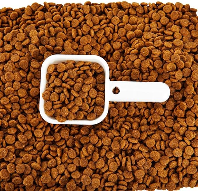 EveryYay by Petco Serve & Preserve Food Storage 50 lbs.