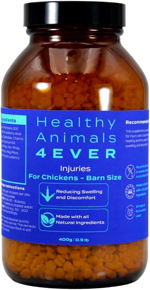 HA4E - Chicken Injury Supplement - Supports Recovery from Accidents & Injuries - Highly Effective, Natural Homeopathic Tablets - Barn Size (Extra Large)