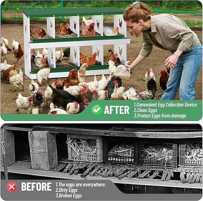 Chicken Nest Box, 8-Compartment Egg-Laying Box, Metal Hen House, Convenient for Collecting Eggs - Ventilated Poultry House Equipment - Suitable for Hens, Ducks Green, Without Stand