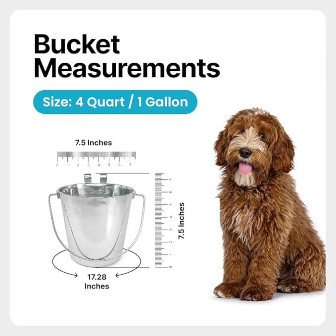 1 Gallon Stainless Steel Bucket - Heavy Duty Flat-Side Metal Bucket for Pets & Livestock Feeding - Rust Resistant Water Bucket with Hooks for Kennels, Cages, Crates & Fences - 4 Quart
