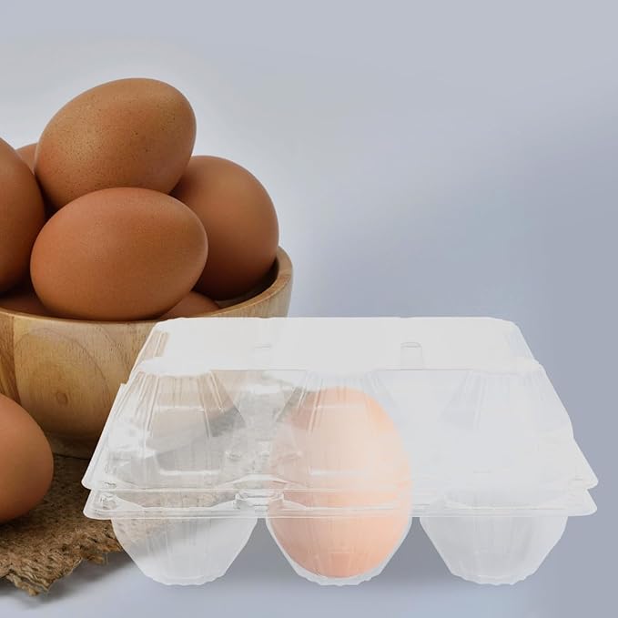 Homoyoyo Plastic Duck Egg Cartons 6 Count Goose Egg Carton Jumbo Empty Cheap Bulk for Refrigerator Chicken Farm Markets Display 8.27x5.51x3.74 Inch for Display and Gift