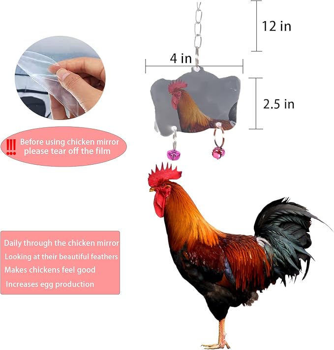 Chicken Toys for Coop Accessories 6PCS -Swing, Mirror, Vegetable Hanging Feeder, Ladder, Treat Holder for Hens Rooster Chicks Poultry Enrichment Toys