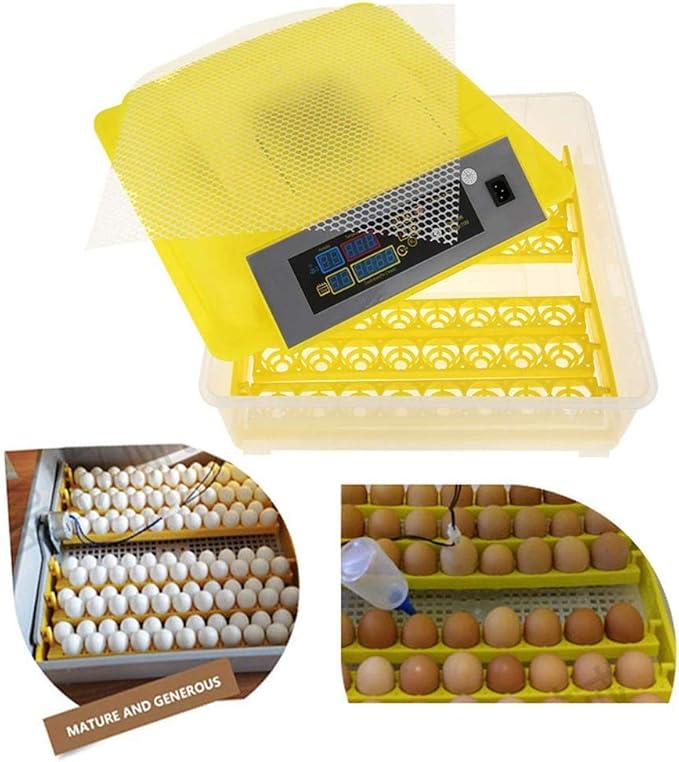 Egg Incubator Automatic Turning Digital Poultry with Temperature Control Breeder for Hatching Chicken Duck Goose Quail Birds Turkey, 48 Eggs