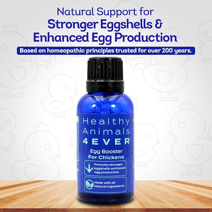 HealthyAnimals4Ever HA4E - Chicken Egg Booster Supplement - Supports Stronger Eggshells & Stress Relief - Highly Effective Homeopathic Formula - Natural Egg Strengthening Tablets - 300 Count