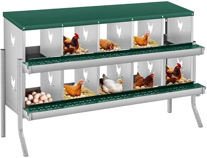 Removable Tray & Large Vented Design - Chicken Nesting Box for Small Animals - 10 Compartments, Two-Tier Galvanized Steel, Easy Wall Mount, Durable, Easy Clean - Green, 10 Compartments ZW