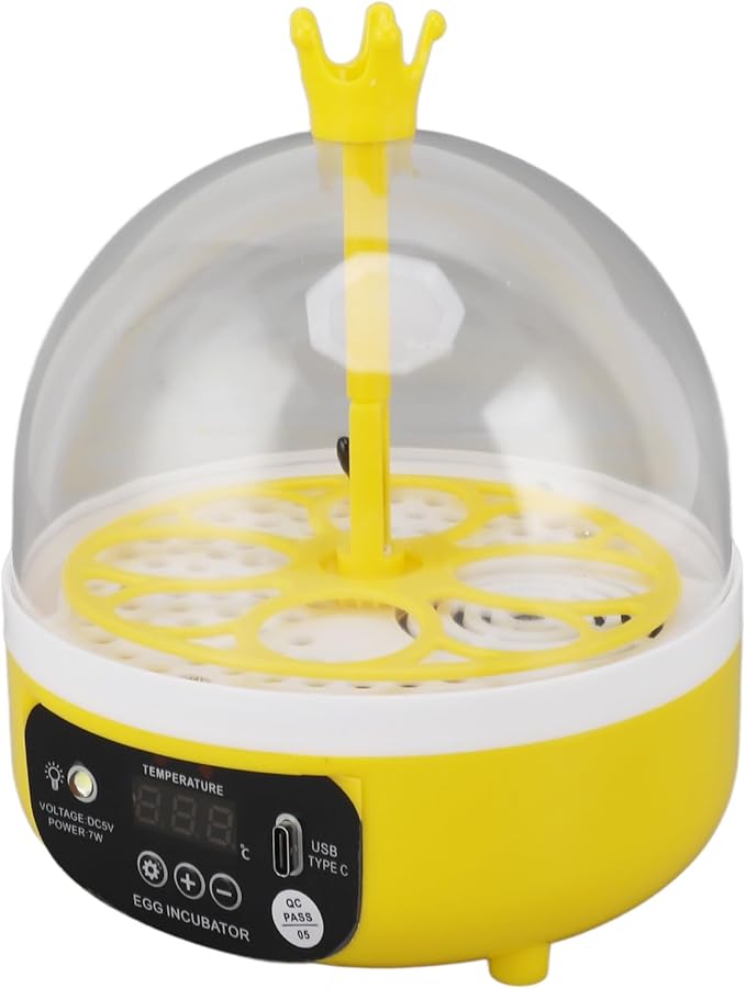Mini Egg Incubator Automatic Temperature Humidity Control Transparent Lid Multifunctional Hatching High Efficiency Low Noise Compact Portable for Home School Outdoor Use ABS Foam (Manual Turning)