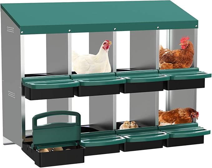 Chicken Nesting Box, 8 Compartments Metal Chicken Laying Boxes with Roll Out Egg Collection, Wooden Fake Eggs, Install Accessories and Gloves for Hens/Goose/Duck/Rabbit, Green