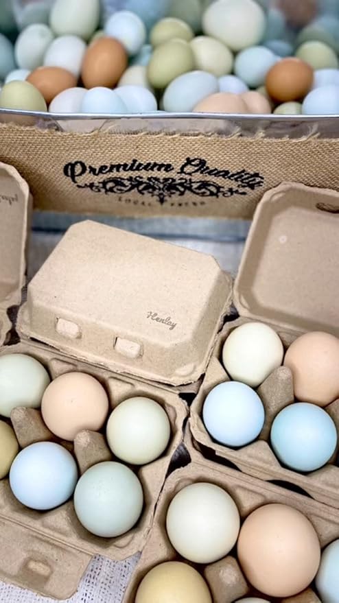 Half Dozen Blank Egg Cartons – Flat Top Half-Dozen Holder, Recyclable Pulp, Ideal for Farm-Fresh Eggs, DIY Custom Labeling, Eco-Friendly Storage - 20 Pack