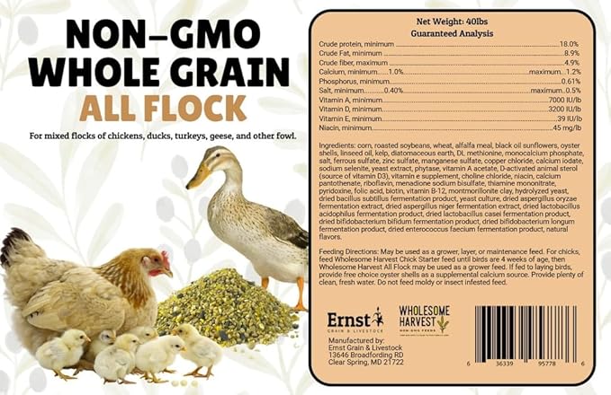 All Flock Feed, High Nutrition Layer for Flocks, Non-GMO Duck, Turkey, Geese and Chicken, Whole Grain 40 lbs Pack