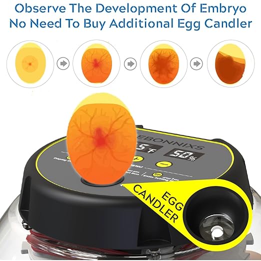12 Egg Incubator with Humidity Display, Egg Candler, Automatic Egg Turner, for Hatching Chickens