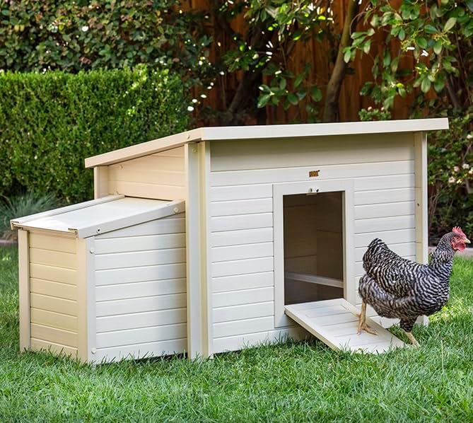 New Age Pet ECOFLEX Fontana Chicken Coop, Urban Barn for 2 to 3 Chickens, Easy Assembly, Eco Friendly & Durable, Tan