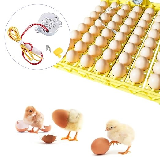 Joyzan Egg Turner Motor, AC Chicken Rotator Incubator Automatic Turntable Hatching Tool Small Guide Accessory Connector CW CCW Dual Working Modes for Incubating Electric Ducks Goose Birds Tray Quail