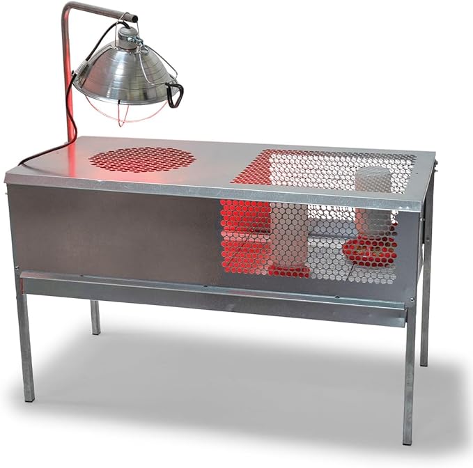 Stromberg's Stand-Up Chick Brooder, Durable Galvanized Steel & Wire, Ventilated Poultry Habitat, Easy Cleaning & Maintenance, Holds Up to 50 Chicks, Heat Lamp Stand Included (Lamp Sold Separately)