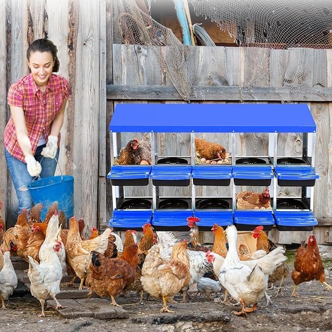 Chicken Nesting Box, 10-Compartment Egg Laying Box, Convenient for Collecting Eggs, Ventilated Poultry House Equipment in Metal Chicken Coop, Suitable for Hens and Ducks, (Blue, Without Stand)