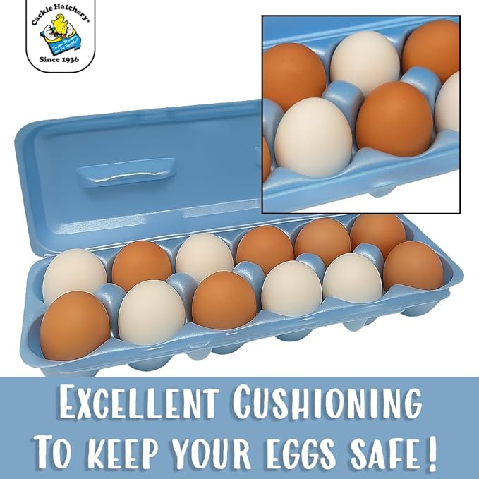 Cackle Hatchery Foam Egg Cartons for Chicken Eggs Holds 1 Dozen Eggs (Blue, 15pk)
