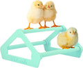 Roosting Perch for Baby Chickens, Chick Brooder Coop Training Toy Accessory, Easy Click Together Assembly, Durable Plastic, Mix and Match Colors, USA Made (Mint Green, 1 Pack)