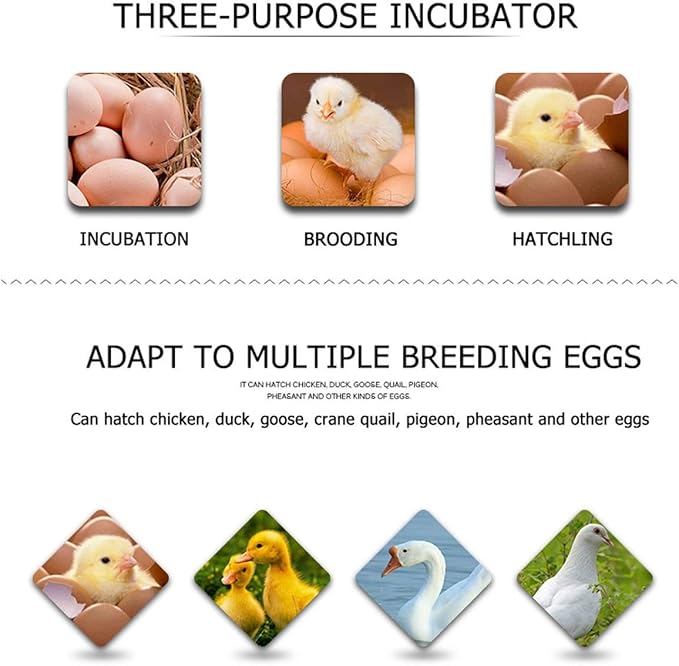 Automatic Incubator Egg Digital Egg Brooder with Temperature Display and Auto Turning for Chicken Goose Duck Poultry Hatcher (9 Egg)