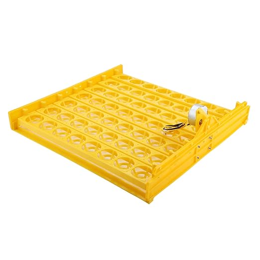56 Egg Mini Egg Incubator with Automatic Turning Tray and Motor, Ideal for Poultry Hatching