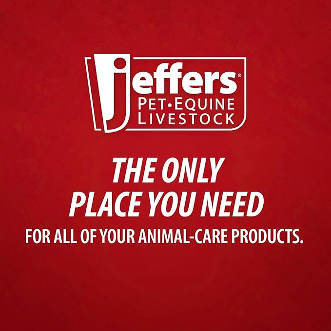 Jeffers Super Scoop 3 Quart – Lightweight and Heavy Duty Plastic Feed Scoop for Pet Food, Grain, Dog Food, Cat Litter, Flour, Rice, Chicken Feed, Garden Soil, Barn, Farm, and Outdoor Use - Red