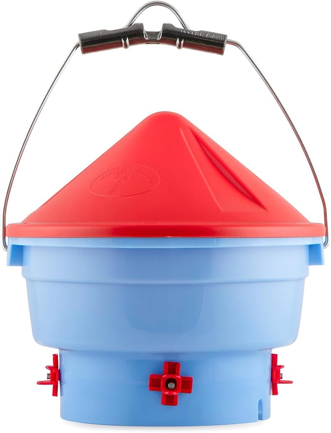 Little Giant® Deluxe Hen Hydrator | 1 Gallon | Gravity Fed Poultry Waterer | Durable Water Dispenser for Flocks | Made in USA