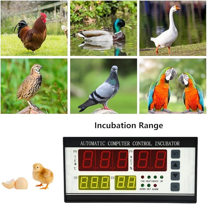 Automatic Control System for Egg Incubator Machine and Temperature and Humidity Control Machine (XM-18ZP)
