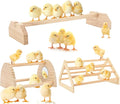 BreezeHug 3 Pcs Chicken Roosting Bar Set Wooden Chick Perch Prevent Rotation Design with Mirror Long Strip Large Triangle Stand Platform for Bird Parrot Macaw Hens Coop Brooder Fun Toys Accessories