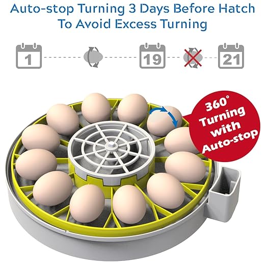 12 Egg Incubator with Humidity Display, Egg Candler, Automatic Egg Turner, for Hatching Chickens