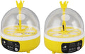 Mini Egg Incubator with Automatic Temperature and Humidity Control,4 Egg Poultry Hatching Machine for Chickens, Ducks, and Pigeons at Home (Auto Turning)