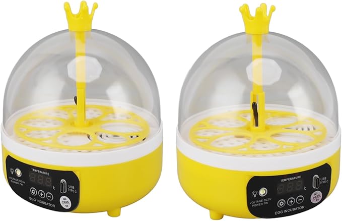 Mini Egg Incubator, Automatic Temperature and Humidity Control, Transparent Lid for Chicken Duck Eggs Hatching Candler Machine, Compact Portable Design for Home School Outdoor