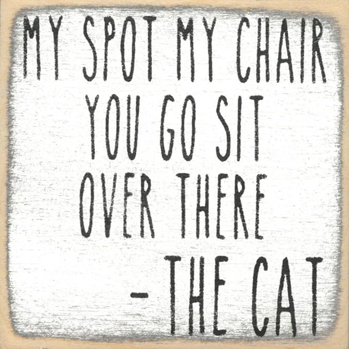 Farmisms 4x4 Inspirational Wooden Rustic Country Signs for Country Farm Living –My Spot My Chair. You Go Sit Over There. -The CAT